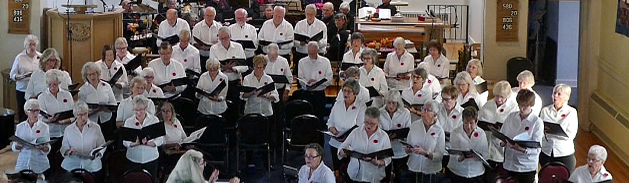 The Elderberries Choir, Nov 9, 2024