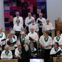 The Elderberries Choir