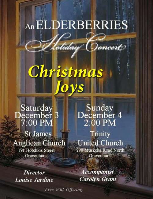 An Elderberries Holiday Concert - Christmas Joys